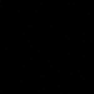 Meet your Posher, Daniela